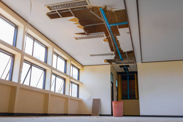 Best Basement water damage restoration  in Ronkonkoma, NY
