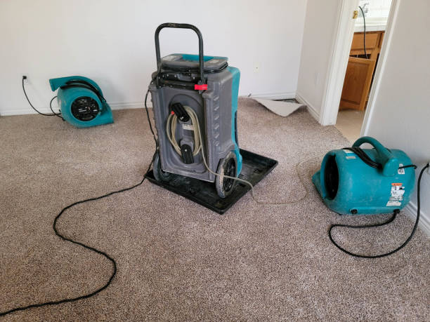 Best Local water damage restoration  in Ronkonkoma, NY