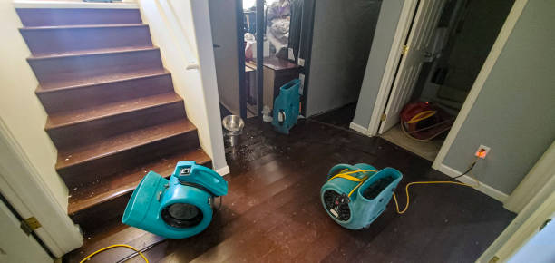 Best Fire Damage Restoration  in Ronkonkoma, NY