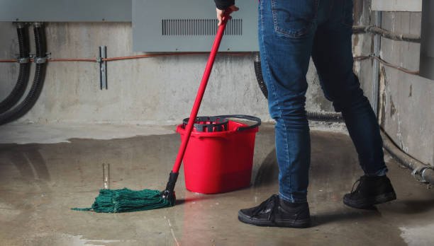 Best Mold removal after water damage  in Ronkonkoma, NY