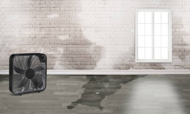 Best Water damage restoration near me  in Ronkonkoma, NY