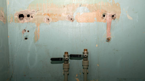 Best Sewage cleanup and water damage restoration  in Ronkonkoma, NY