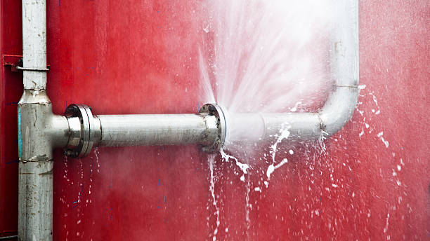 Best Flooded house restoration  in Ronkonkoma, NY
